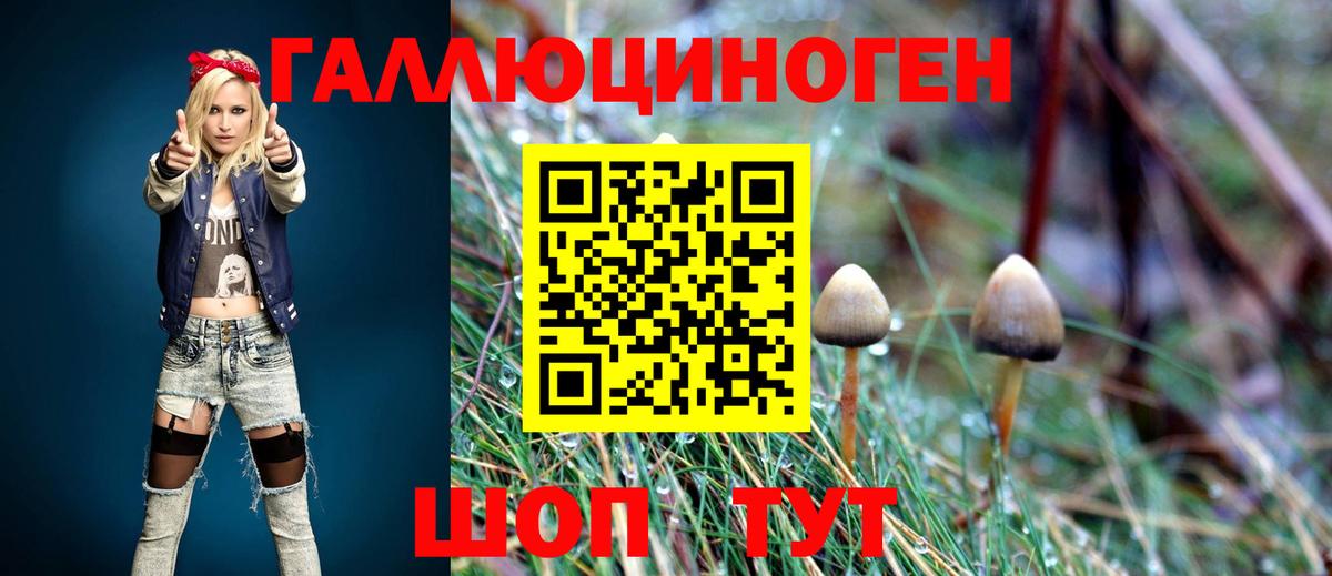Галлюциногенные грибы Psilocybe  Галлюциногенные грибы Psilocybe  Вход с VPN  Советская Гавань 